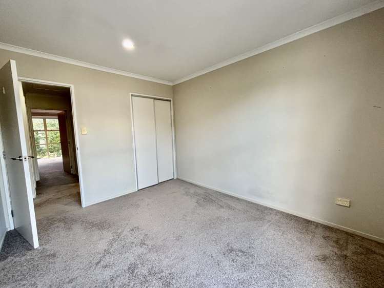 55 Bruce Pulman Drive Takanini_13