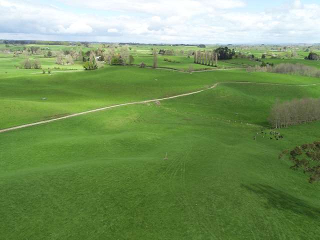 802 Kakahu Road Tapapa_2