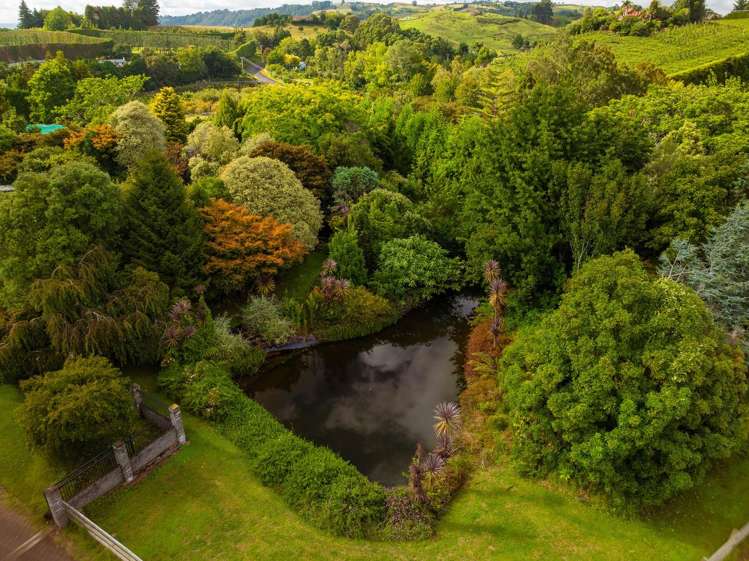 389 Old Highway Whakamarama_33