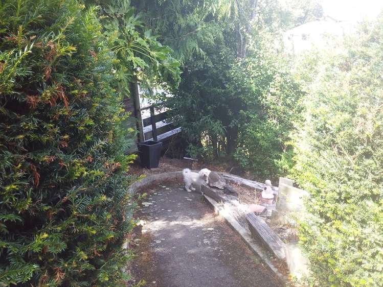 17 Sunbury Street Andersons Bay_5