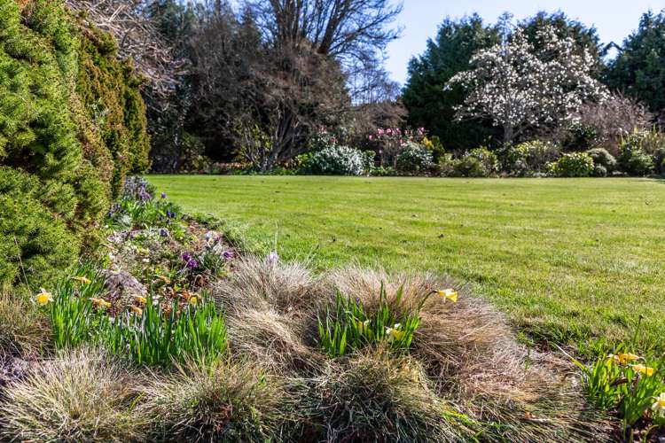 125 Merton Road Fernside_14