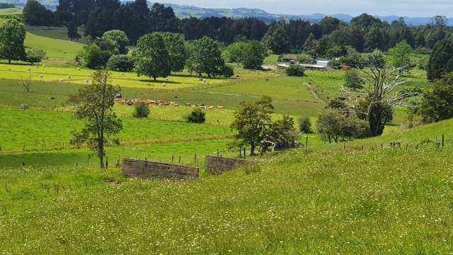 Curd Road Maungakaramea_2