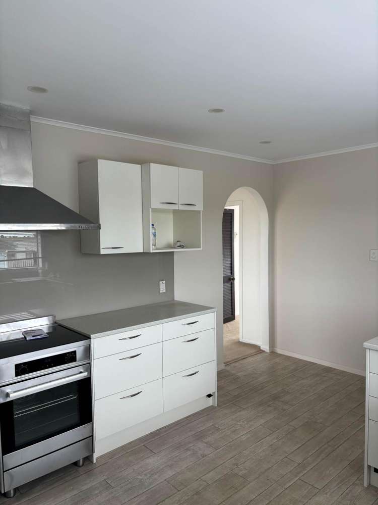 322 Waiuku Road Puni_5