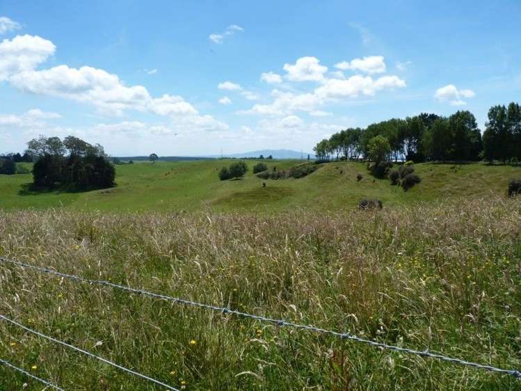 389d Paraonui Road Putaruru_11