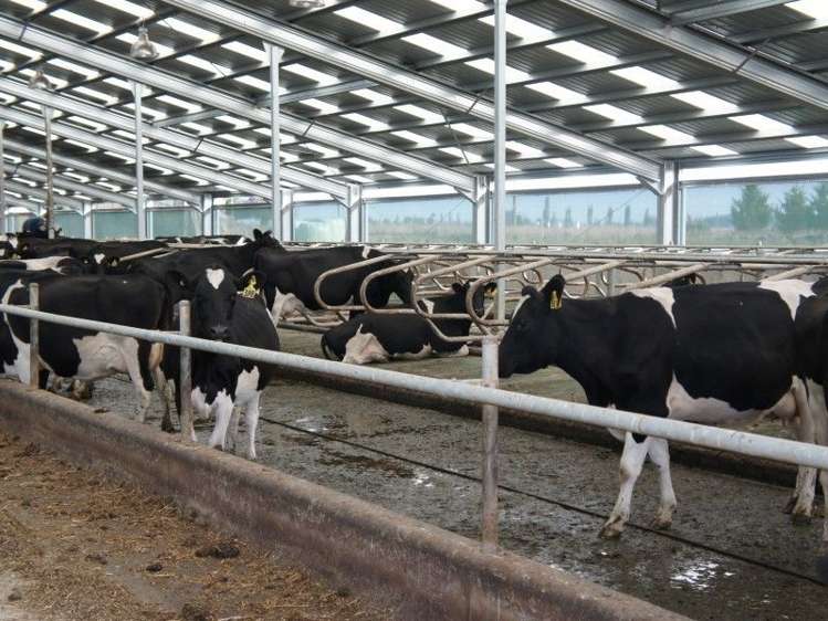 64 Haymans Road Waimate_15