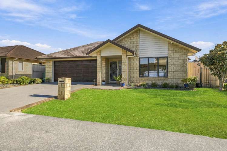 12 Plantation Avenue Flat Bush_25