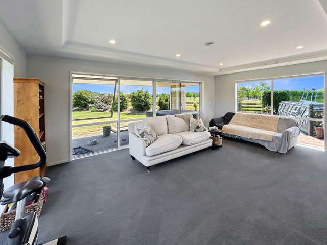 1 Tupelo Place Swannanoa_4