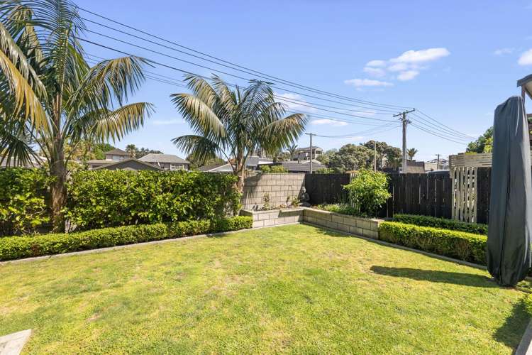 31A Campbell Road Mt Maunganui_13