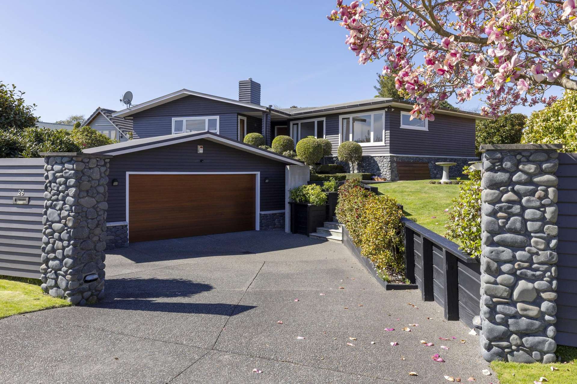 26 Kiwi Street Bird Area_0