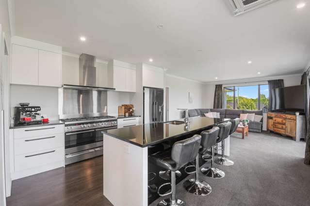 33 Birchwood Avenue Burleigh_1