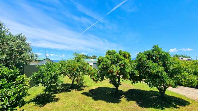 372 Abel Tasman Drive Motupipi_4