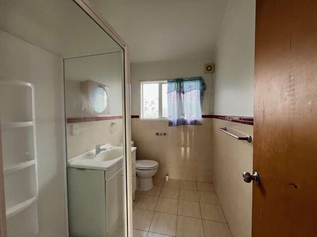 55A Ash Street Avondale_2