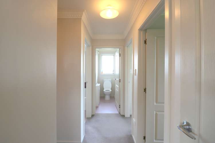 49c Elgin Street Grasmere_11