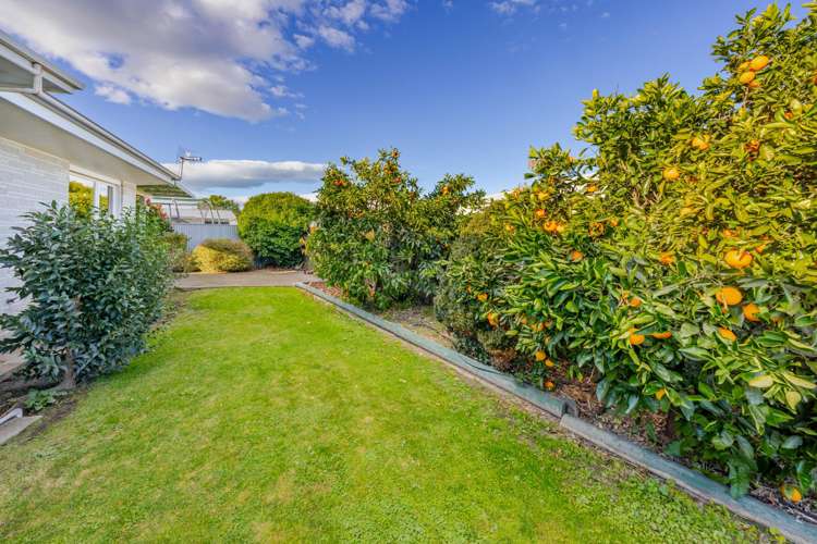 1303 Briggs Place Mayfair_19