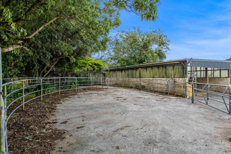 565 Climie Road Cardiff_22