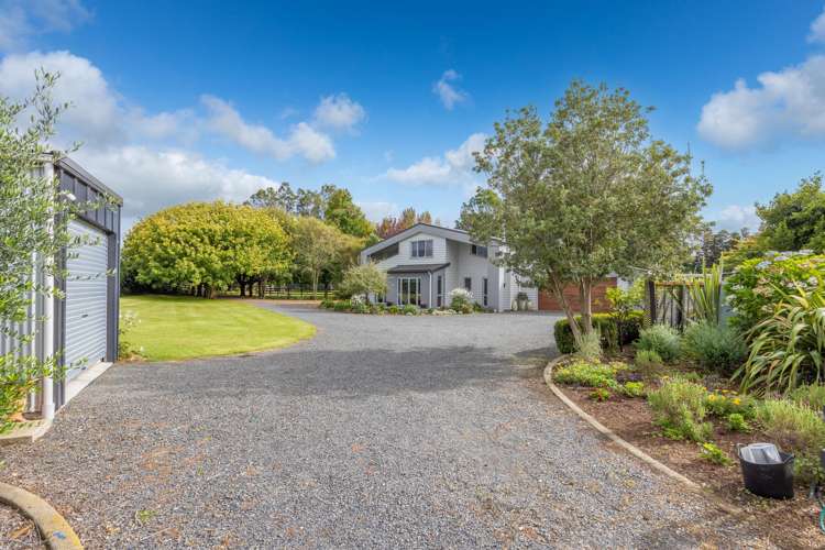 35 Taplin Road Matangi_23