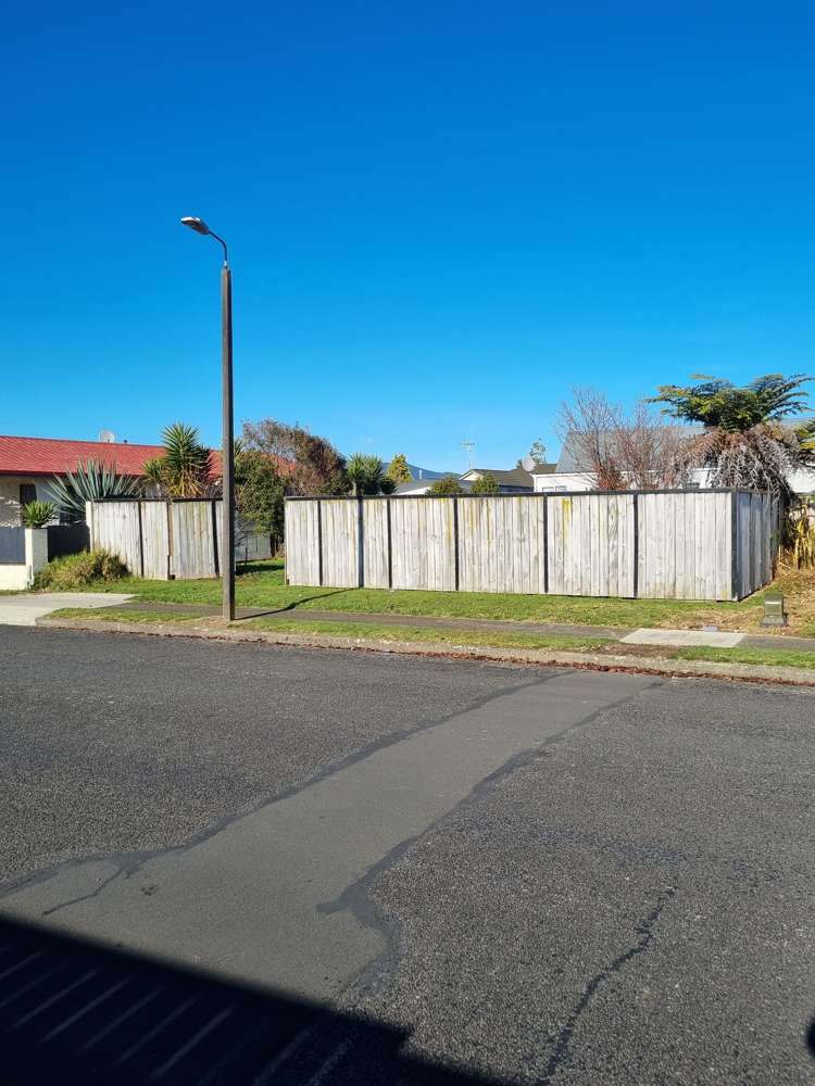 2 Martin Harvey Street Levin_8