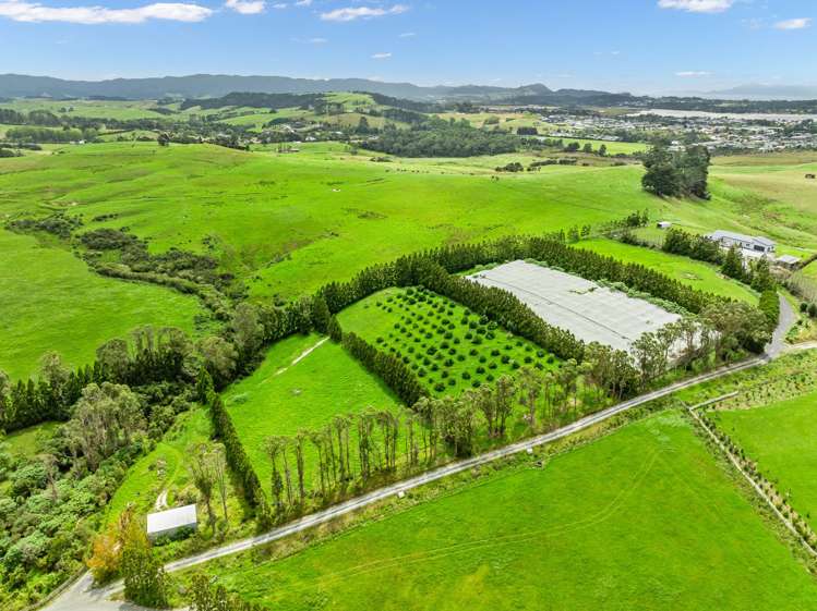 1/69 Vineyard Lane Mangawhai_8