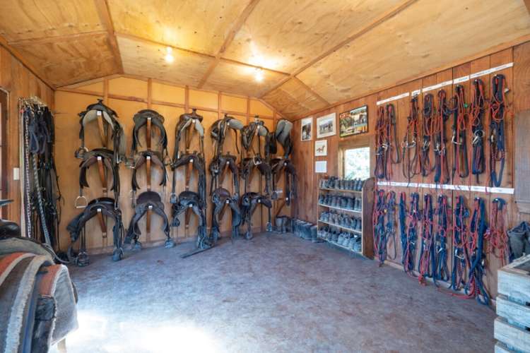 105 Dennistoun Road Mesopotamia_15