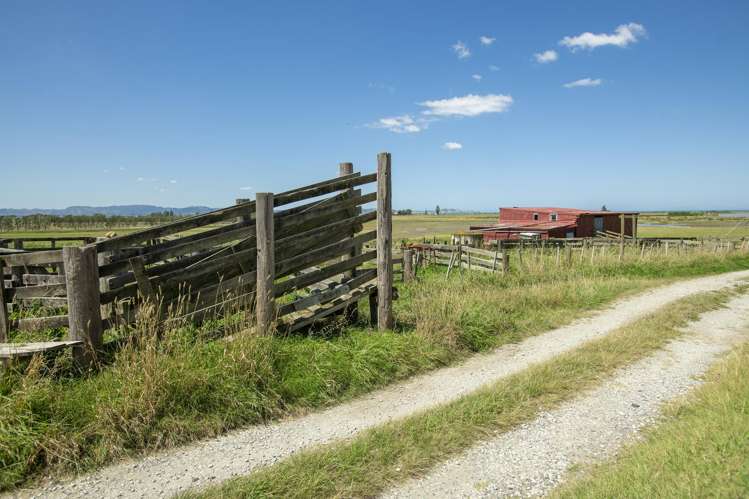 1343 Wharerata Road Muriwai_8