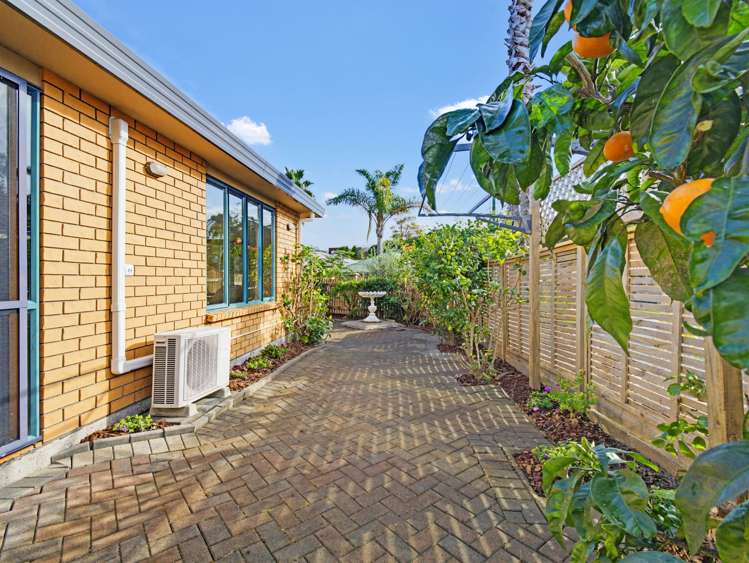 6 Red Hibiscus Road Stanmore Bay_15