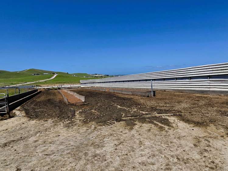 77 Molloy Road Ruawai_11