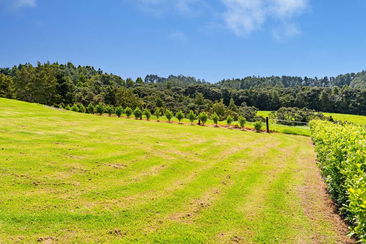 917 Waipu Caves Road_5