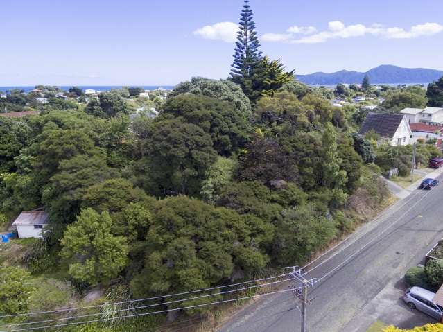 29 Tiromoana Road Raumati South_1