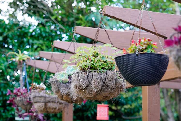 18A Spencer Road Pinehill_25