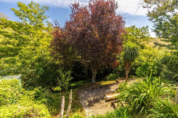 26 Jenner Road Toi Toi_20