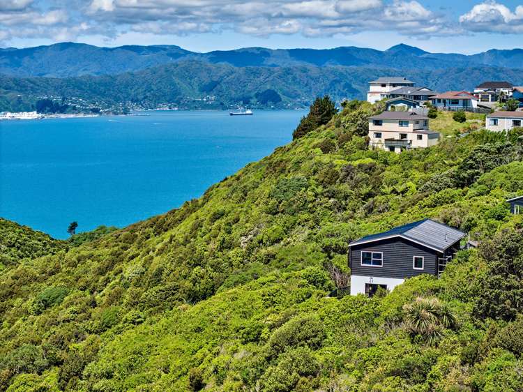 16b Fernhaven Grove Newlands_21