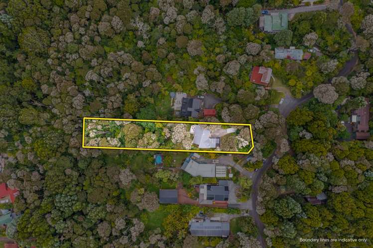 32 Napuka Road Henderson Valley_16