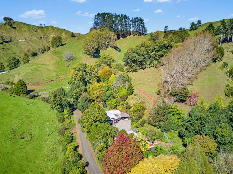 822 Motukawa Rd Inglewood_19