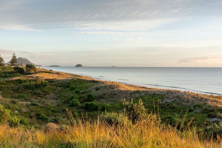 339 Oceanbeach Road Mount Maunganui_6
