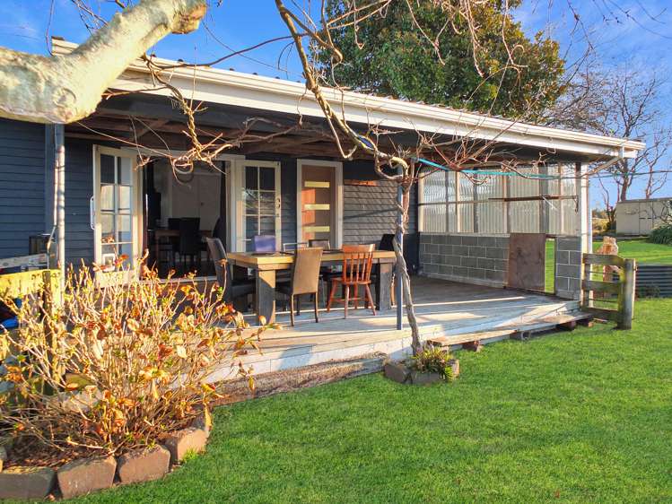 23b Purcell Street Foxton_15