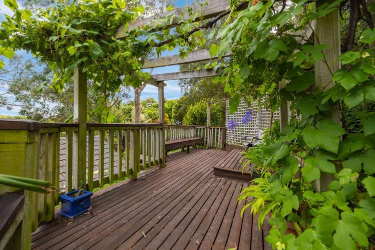 10a Sherwood Lane Cashmere_13