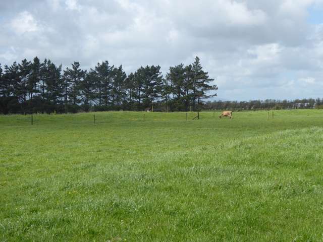 237 Kellow Road Rongotea_4