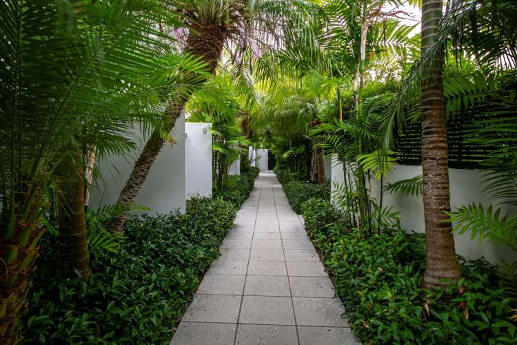 6/7 Killarney Street Takapuna_11