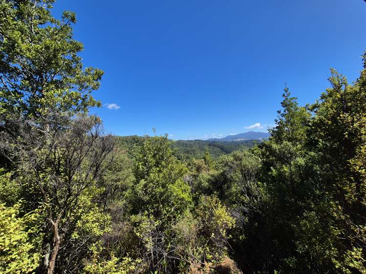 795 Tuateawa Road Waikawau_5