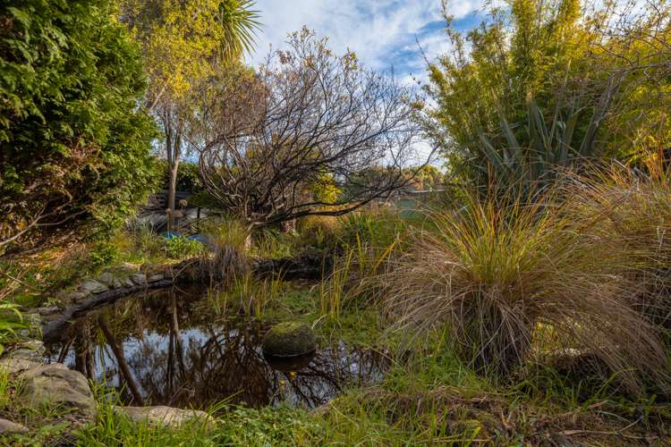 20 Mclauchlan Street Springlands_22