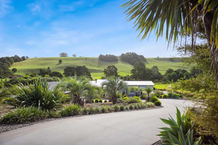 7 Field View Kerikeri_29