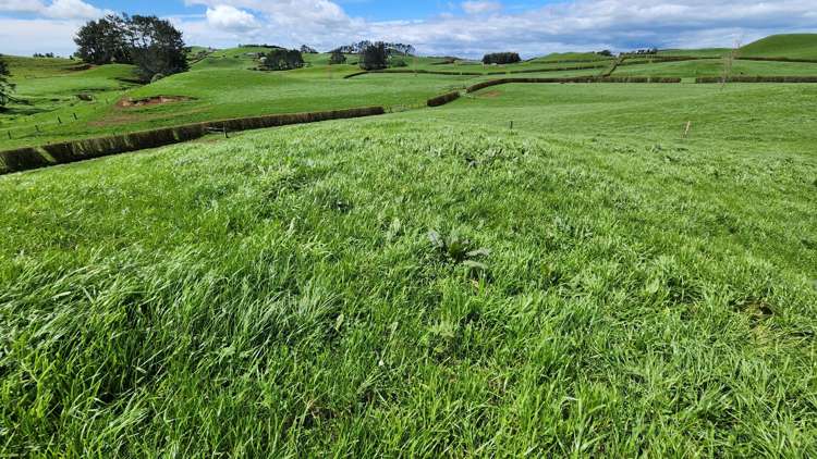 953 Upland Road Egmont Village_32