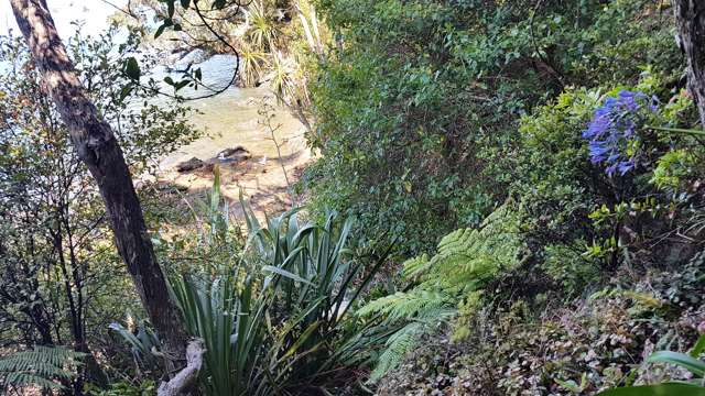 Lot 2 Stockyard Bay Kawau Island_1