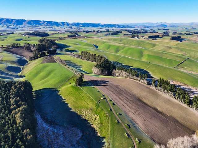 59 Captains Bridge Road Waikoikoi_3