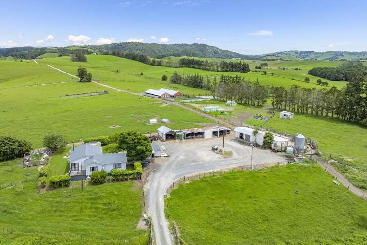 473 Kaipara Flats Road Kaipara Flats_27