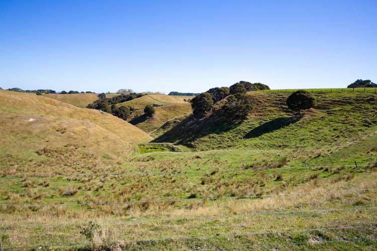 109A Junction Road Halcombe_6