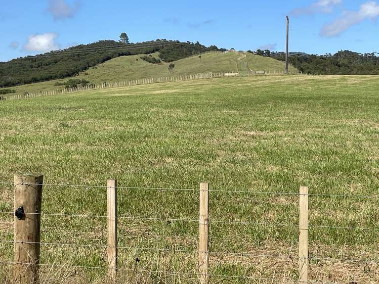 4321 State Highway 1 Mangamuka_14