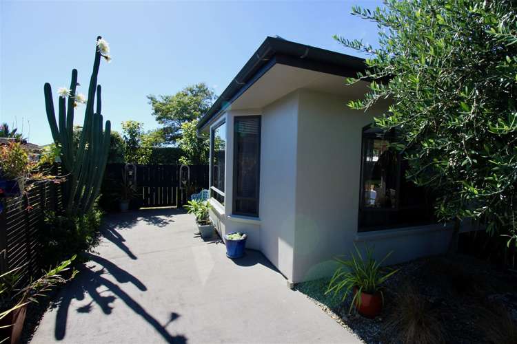 16 Protea Crescent Whitianga_29