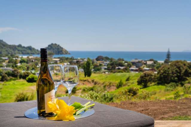 26 Huarere Rise Whangapoua_4