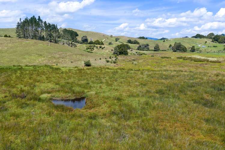 Lot 1 Mason Road Maromaku_10